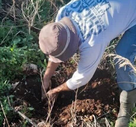 photo_2025-11-30_11-03-01