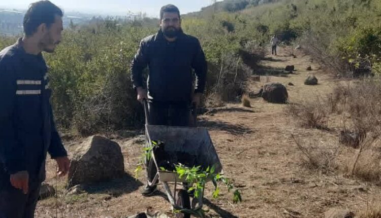 photo_2025-11-30_11-03-05