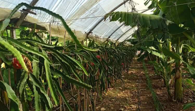 photo_2025-12-02_08-53-04 – Copy