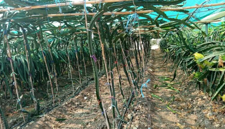 photo_2025-12-02_08-53-10