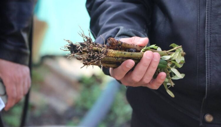 photo_2025-12-15_10-13-14