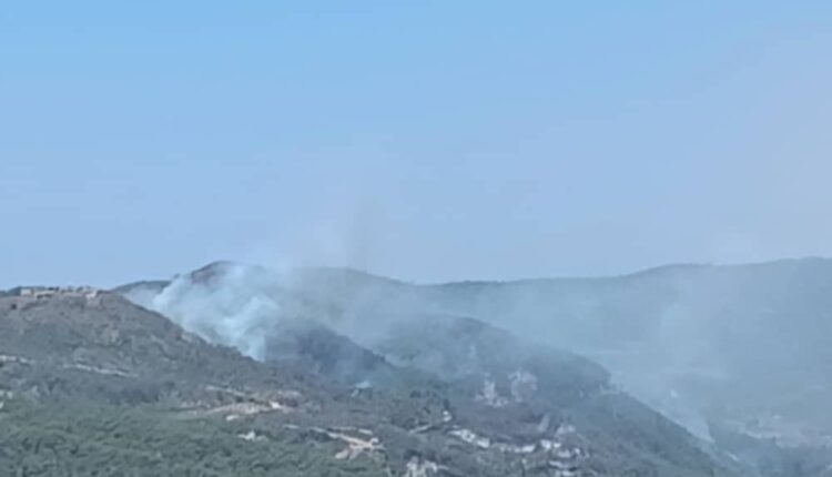 photo_٢٠٢٥-٠٧-٠٧_١٣-٠٢-٥٢