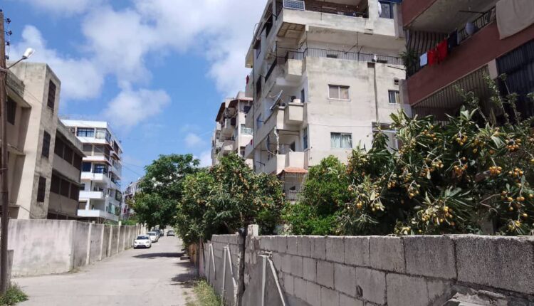 IMG_20250428_083011_375