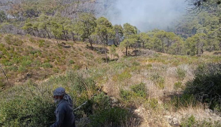 IMG_20250715_084458_256