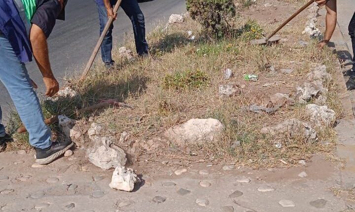 IMG_20250804_164738_452