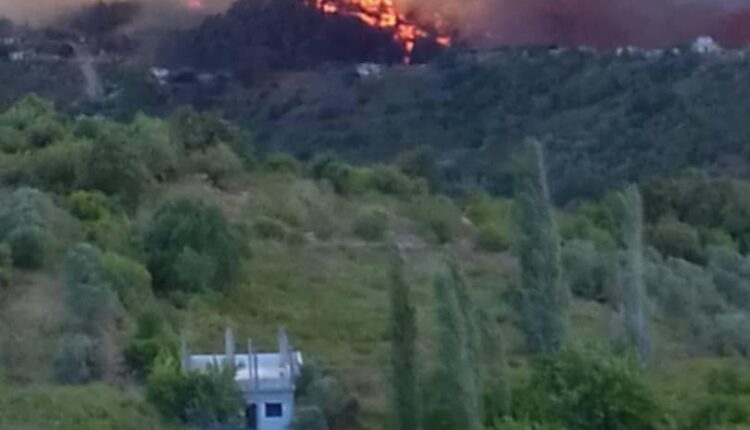 IMG_20250805_140935_790