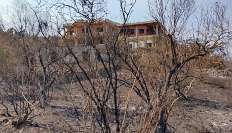 IMG_20250805_140936_085