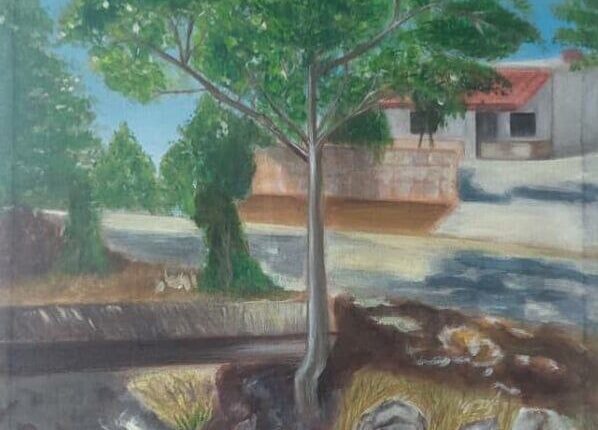 IMG_20250829_175550_471