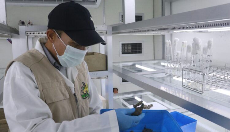 IMG_20250905_095449_082