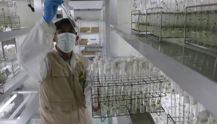 IMG_20250905_095449_230