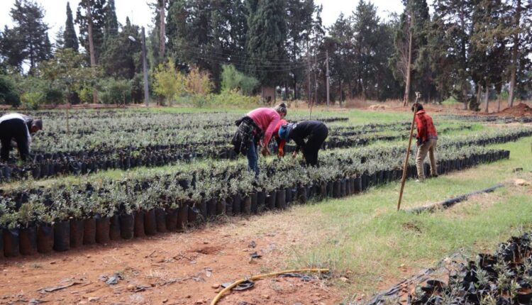 IMG_20251006_100024_401