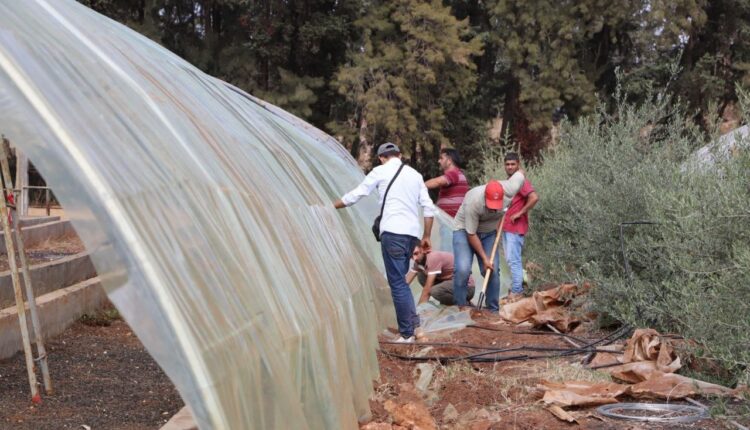 IMG_20251006_100024_886