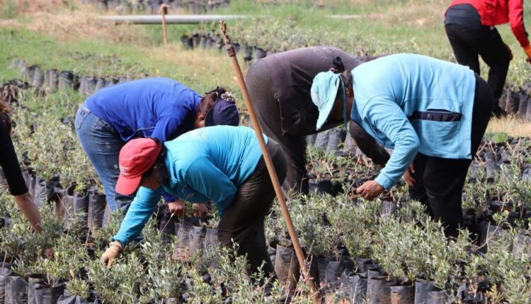 IMG_20251006_100025_260