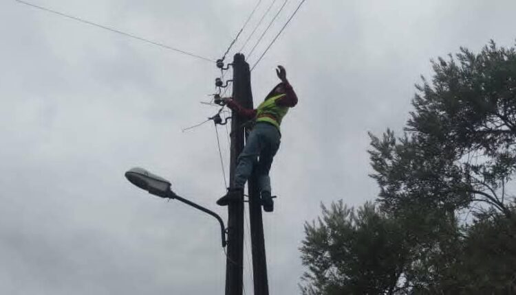 IMG_20251207_121811_333