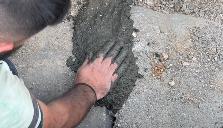 IMG_20251212_095359_478