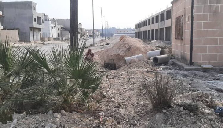 IMG_20251212_095359_795