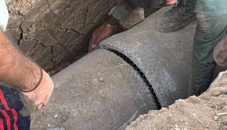 IMG_20251212_095400_376