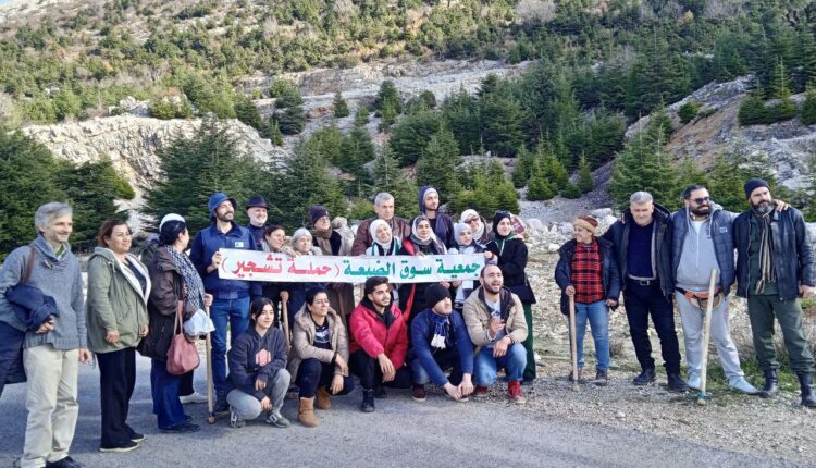 IMG_20251215_134331_360