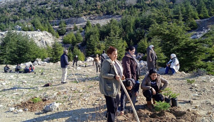 IMG_20251215_134335_902