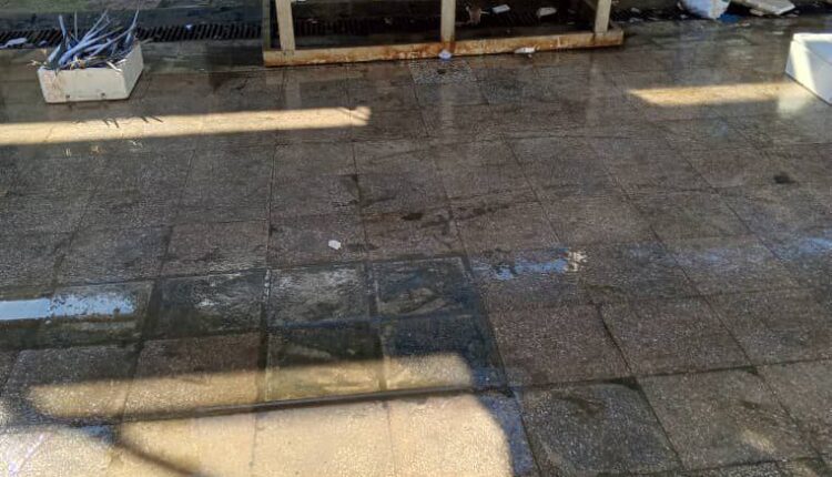 photo_2025-10-22_09-22-33